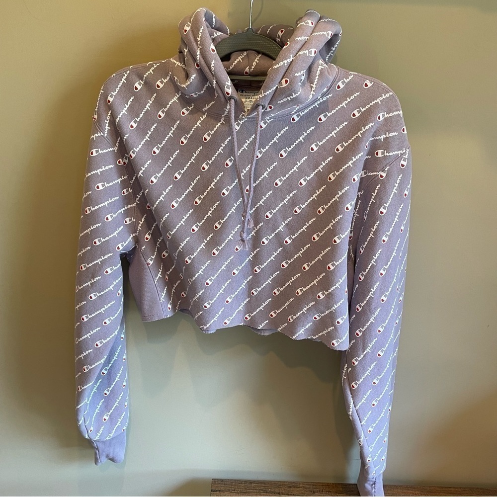 Champion reverse weave cropped hoodie sweatshirt